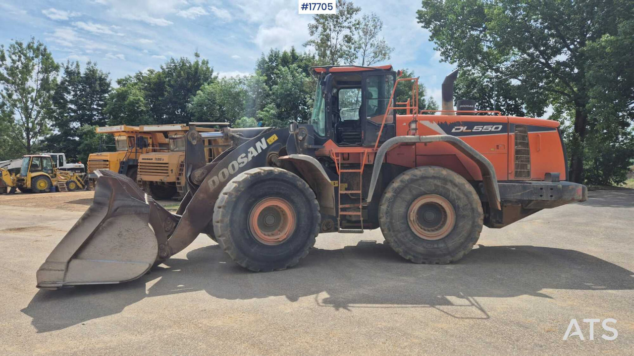 2019 Doosan DL550-5 - اللودر بعجل: صور 1 2019 Doosan DL550-5 - اللودر بعجل: صور 1