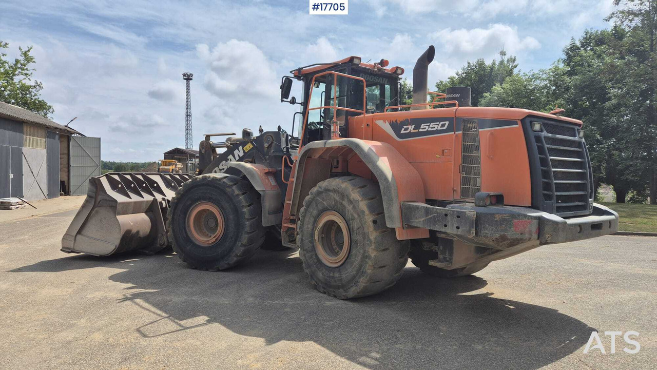 اللودر بعجل 2019 Doosan  DL550-5: صور 8