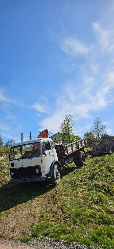 Volvo F 86 42 Hiab 550-2 - شاحنة كرين: صور 5 Volvo F 86 42 Hiab 550-2 - شاحنة كرين: صور 5