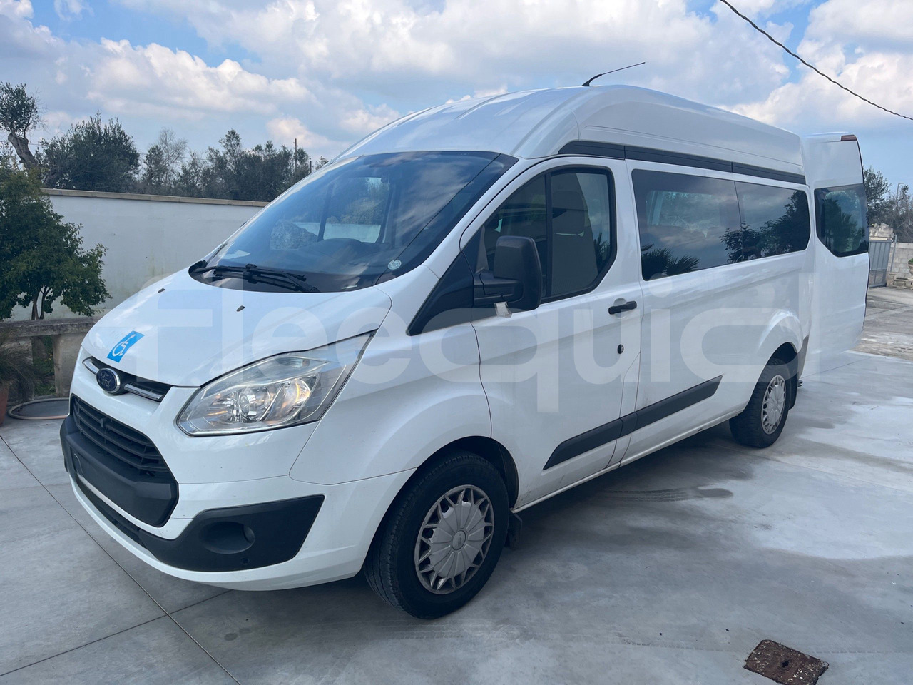 Ford Transit - سياحية حافلة: صور 4 Ford Transit - سياحية حافلة: صور 4