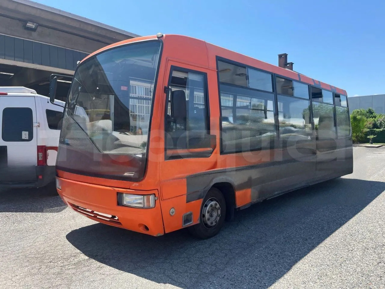 Iveco Cacciamali - حافلة مدرسية: صور 4 Iveco Cacciamali - حافلة مدرسية: صور 4