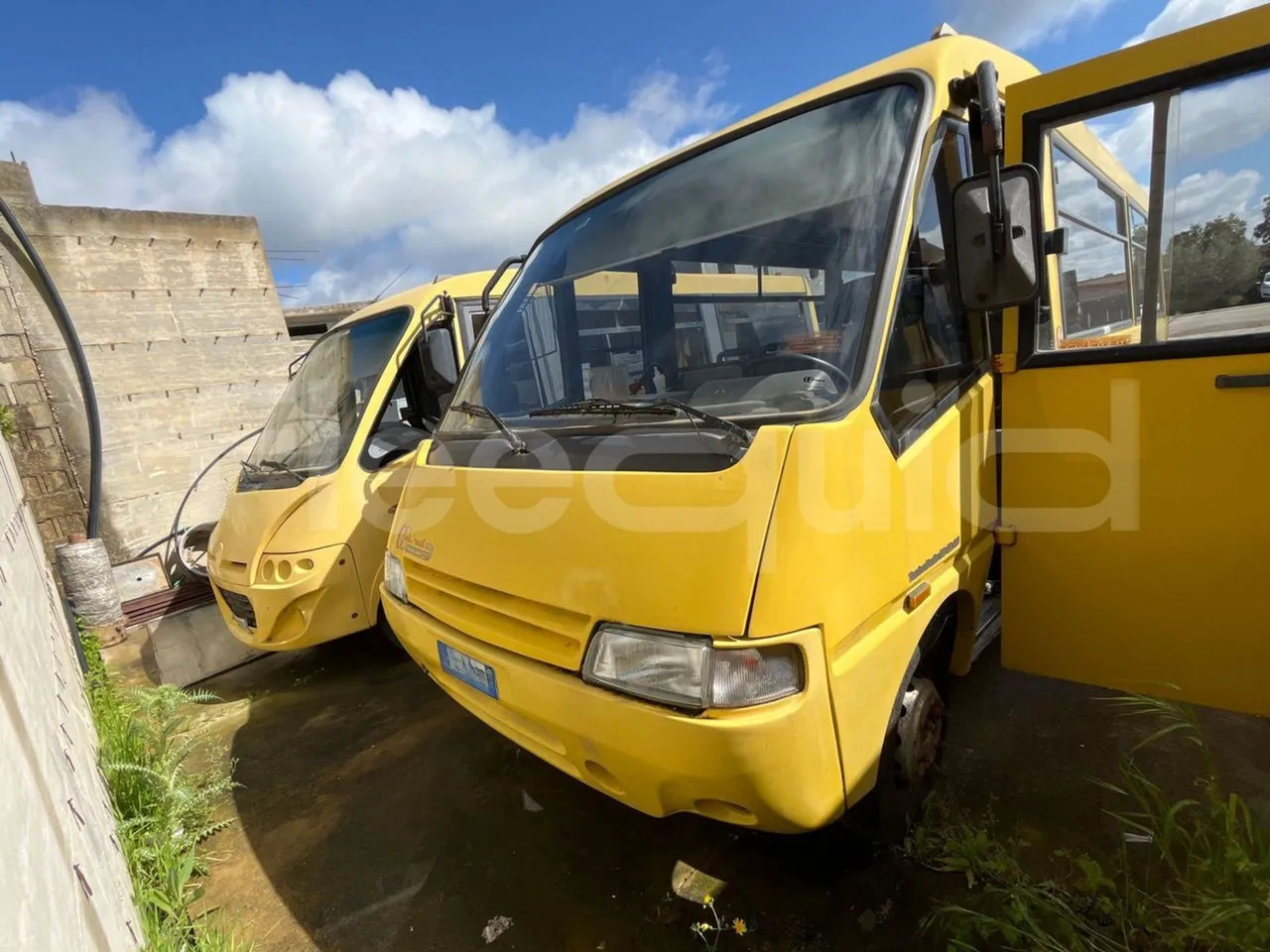 Iveco Cacciamali - حافلة مدرسية: صور 1 Iveco Cacciamali - حافلة مدرسية: صور 1