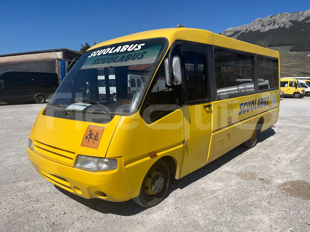 Iveco Cacciamali - حافلة مدرسية: صور 4 Iveco Cacciamali - حافلة مدرسية: صور 4