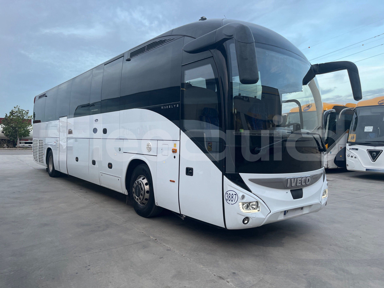 Iveco Magelys - سياحية حافلة: صور 1 Iveco Magelys - سياحية حافلة: صور 1