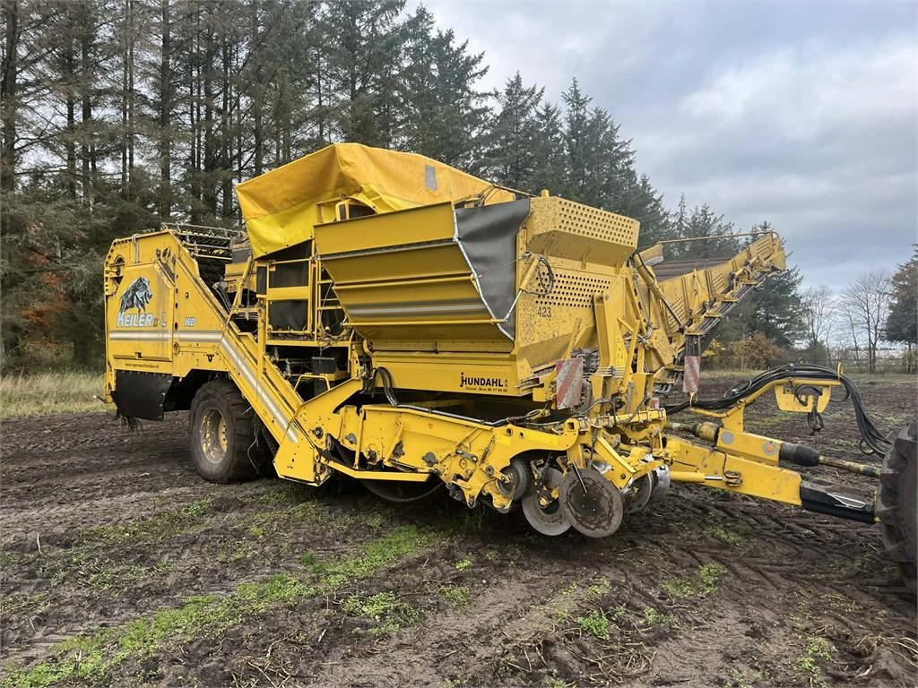 Ropa KEILER II L WD - حصادة البطاطس: صور 2 Ropa KEILER II L WD - حصادة البطاطس: صور 2