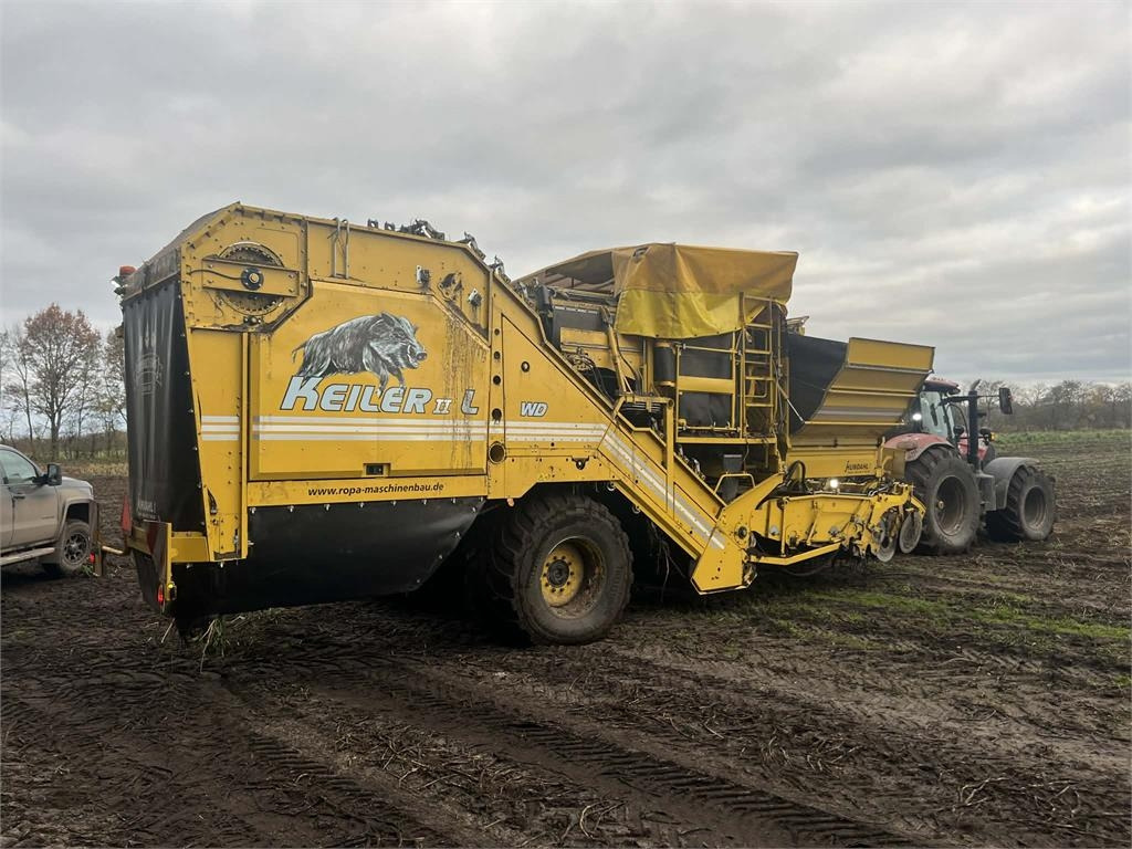 Ropa KEILER II L WD - حصادة البطاطس: صور 1 Ropa KEILER II L WD - حصادة البطاطس: صور 1