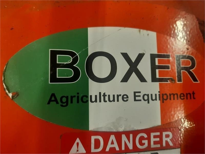 - - - boxer - جزازة: صور 3 - - - boxer - جزازة: صور 3