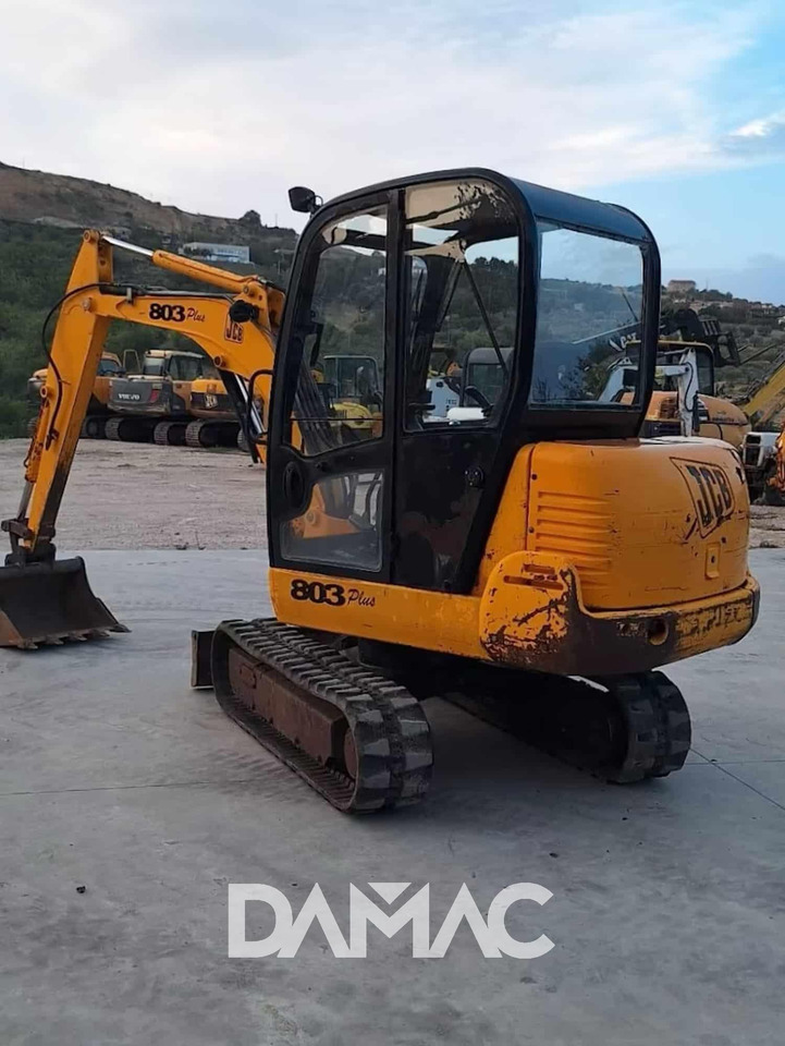 JCB 803 - حفارة مصغرة: صور 3 JCB 803 - حفارة مصغرة: صور 3