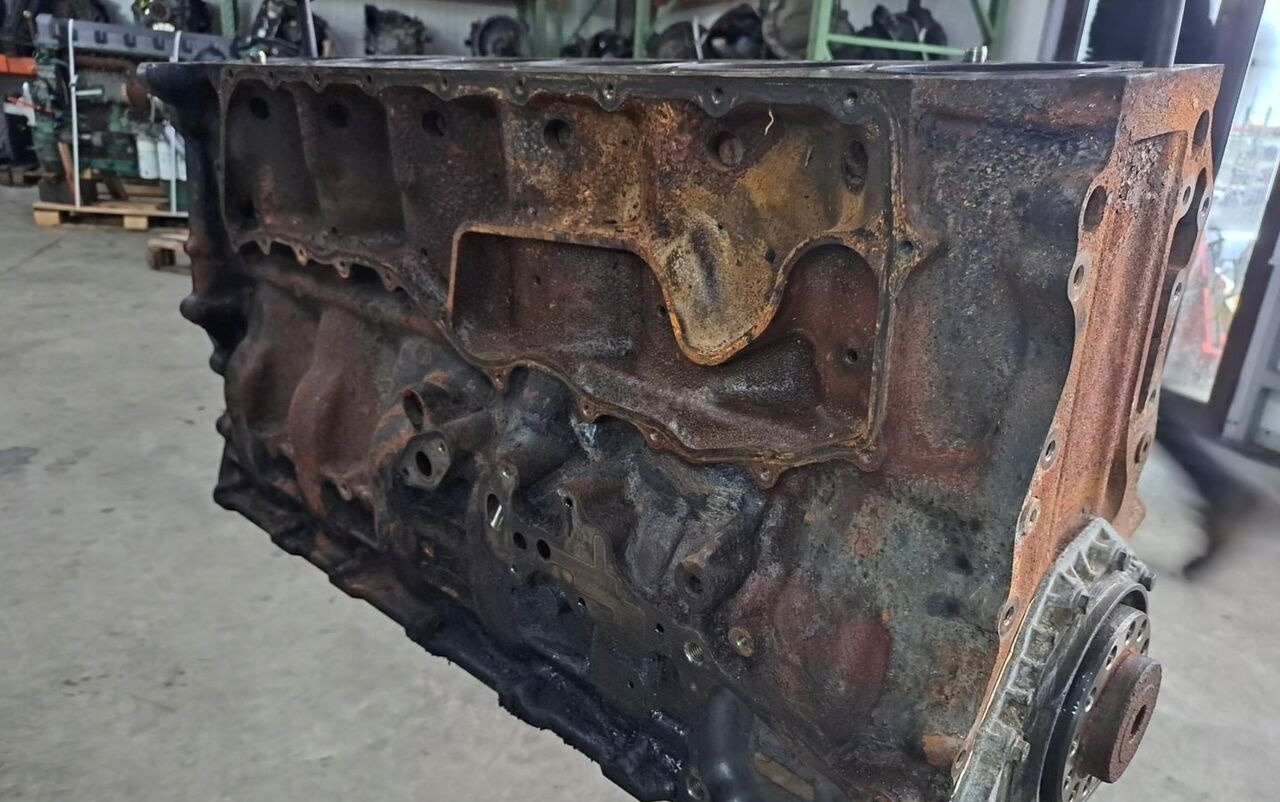 1002016 Renault PREMIUM DXI 11 440 - كتلة اسطوانة - شاحنة: صور 3 1002016 Renault PREMIUM DXI 11 440 - كتلة اسطوانة - شاحنة: صور 3