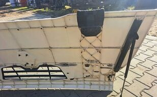 هود - شاحنة Renault Midlum: صور 6