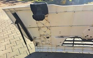 هود - شاحنة Renault Midlum: صور 8