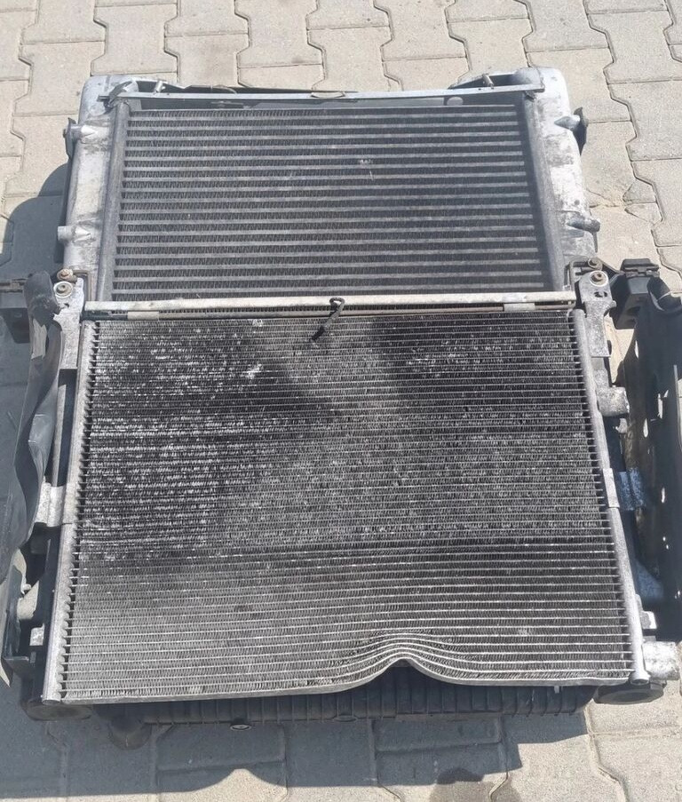 Renault OE Renault RENAULT PREMIUM 2 KERAX LANDER DXI truck - المشعاع - شاحنة: صور 1 Renault OE Renault RENAULT PREMIUM 2 KERAX LANDER DXI truck - المشعاع - شاحنة: صور 1