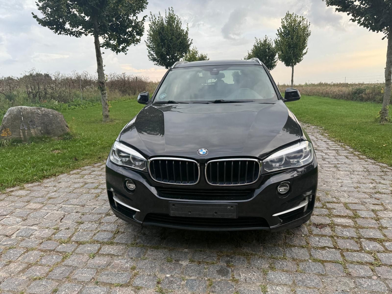 BMW X5 Baureihe X5 xDrive 30 d - سيارة دفع رباعي: صور 5 BMW X5 Baureihe X5 xDrive 30 d - سيارة دفع رباعي: صور 5