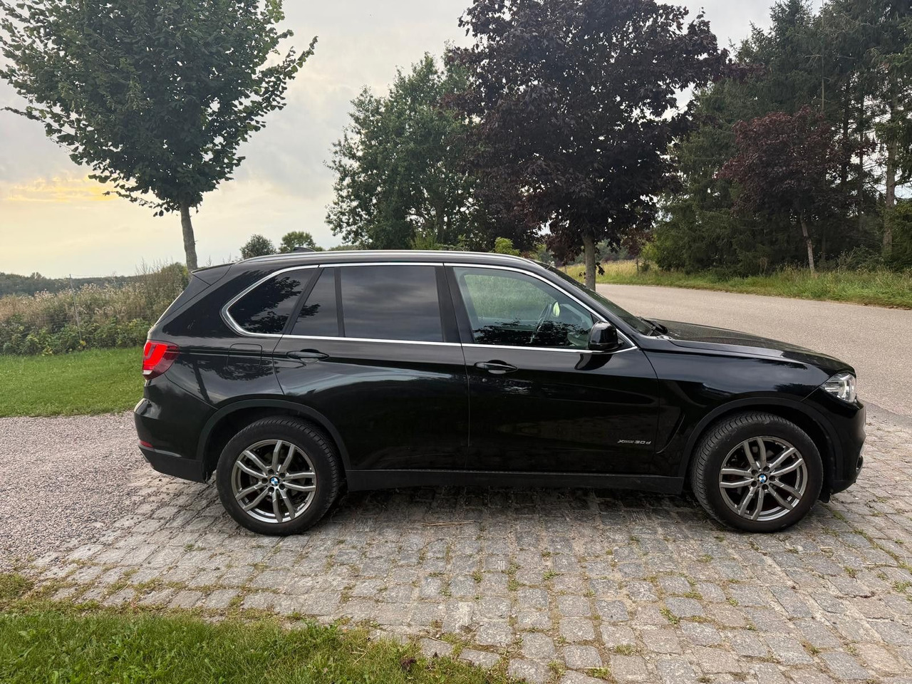 BMW X5 Baureihe X5 xDrive 30 d - سيارة دفع رباعي: صور 2 BMW X5 Baureihe X5 xDrive 30 d - سيارة دفع رباعي: صور 2