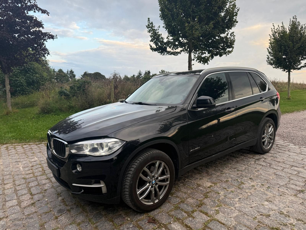BMW X5 Baureihe X5 xDrive 30 d - سيارة دفع رباعي: صور 4 BMW X5 Baureihe X5 xDrive 30 d - سيارة دفع رباعي: صور 4