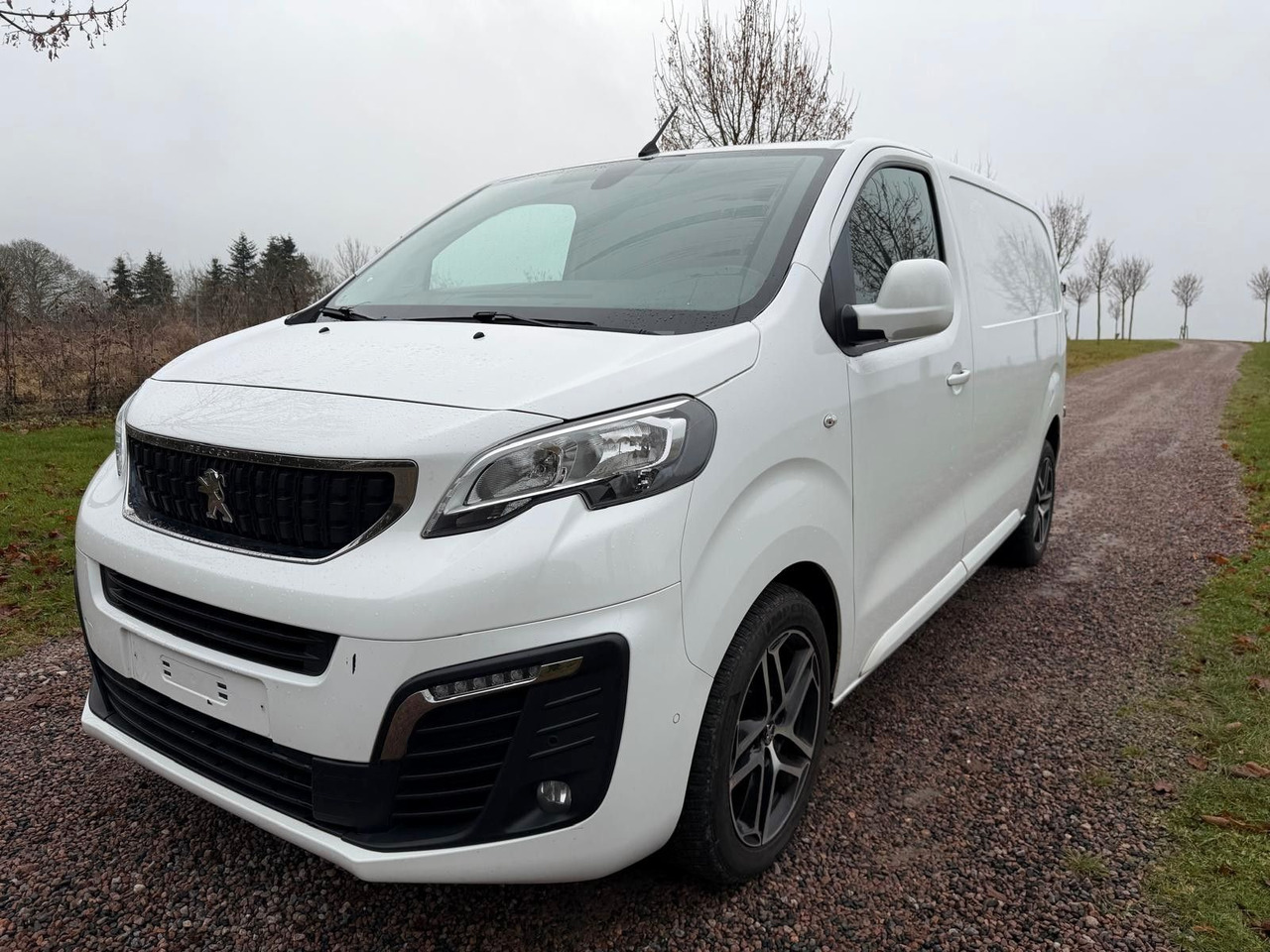Peugeot Expert Kasten Premium L2 - فان المدمجة: صور 1 Peugeot Expert Kasten Premium L2 - فان المدمجة: صور 1