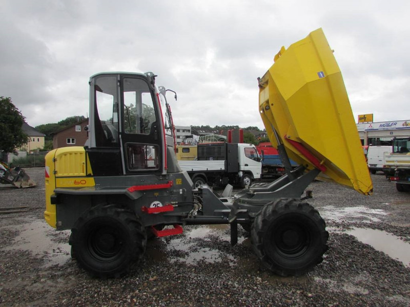 WACKER NEUSON DW 60 Dumper 32.500 EUR - شاحنة قلابة صغيرة: صور 5 WACKER NEUSON DW 60 Dumper 32.500 EUR - شاحنة قلابة صغيرة: صور 5