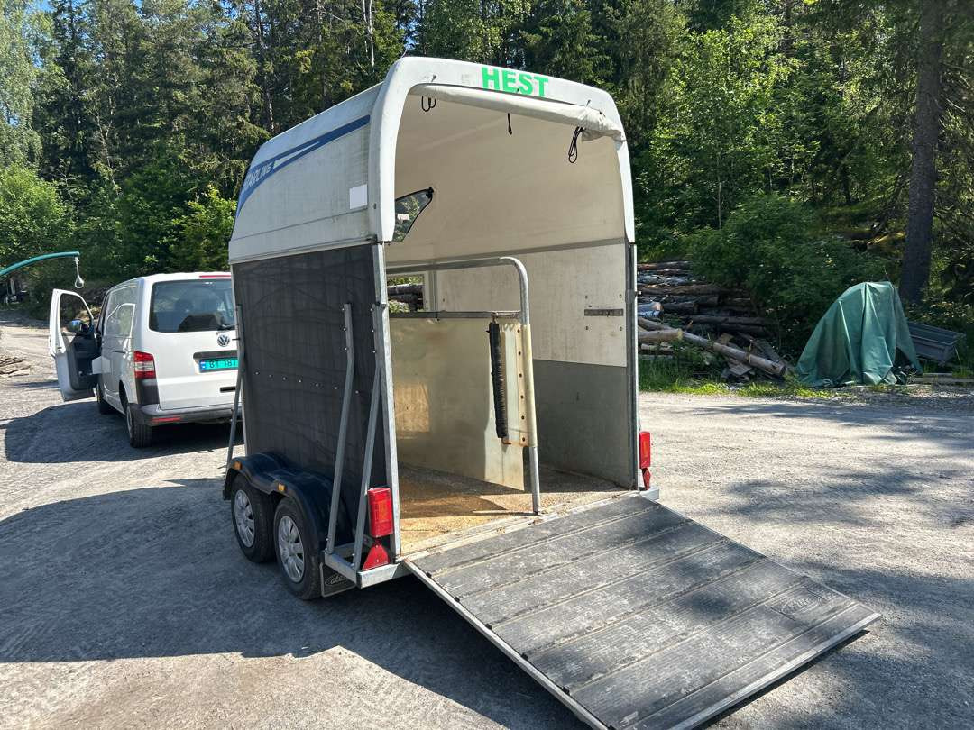 2008 Hestehenger STARLINE DIAMOND - مقطورة: صور 4 2008 Hestehenger STARLINE DIAMOND - مقطورة: صور 4