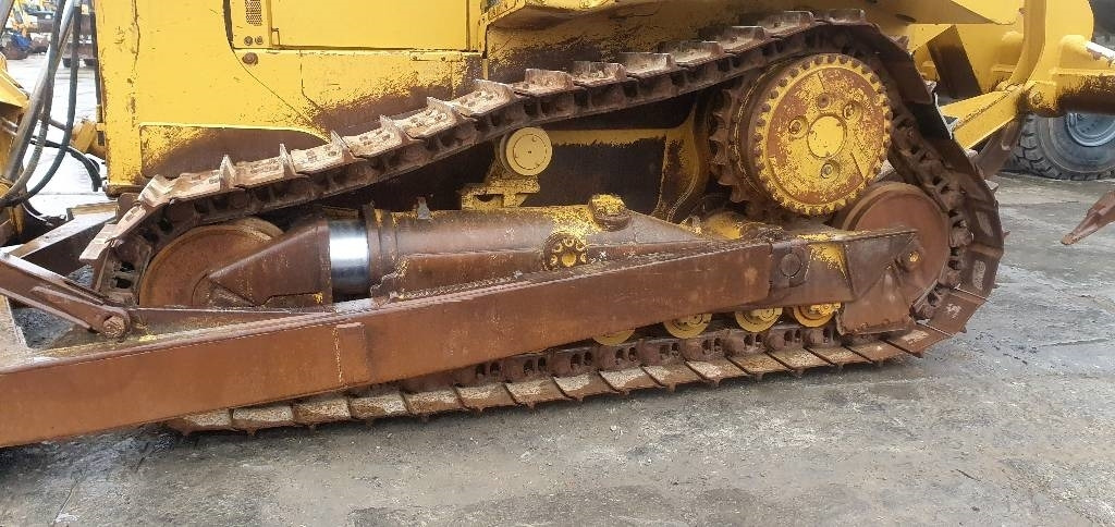 CAT D 6 T XL - بلدوزر: صور 3 CAT D 6 T XL - بلدوزر: صور 3