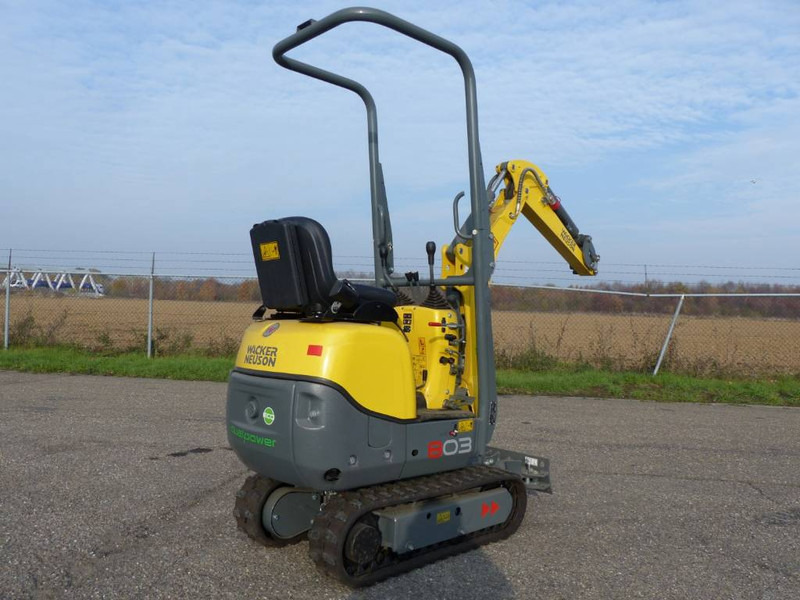 WACKER NEUSON 803 - حفارة مصغرة: صور 3 WACKER NEUSON 803 - حفارة مصغرة: صور 3