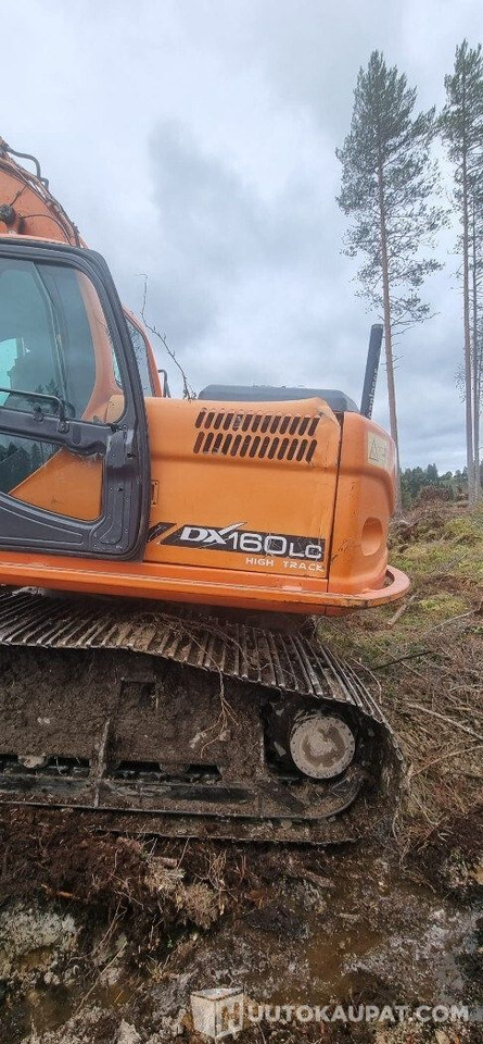 Doosan 160 LC, 2009, Diesel, 8 680 h Metsä alustainen kaivinkone, Leppävirta - حفارات زحافة: صور 3 Doosan 160 LC, 2009, Diesel, 8 680 h Metsä alustainen kaivinkone, Leppävirta - حفارات زحافة: صور 3
