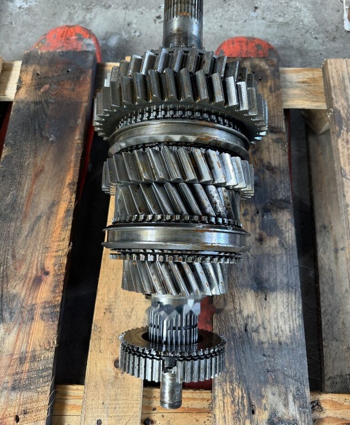 IVECO ZF 6S1000 Eurocargo Daf Man IVECO ZF 6S1000 Iveco Eurocargo Daf Man - علبة التروس و قطع الغيار - شاحنة: صور 2 IVECO ZF 6S1000 Eurocargo Daf Man IVECO ZF 6S1000 Iveco Eurocargo Daf Man - علبة التروس و قطع الغيار - شاحنة: صور 2