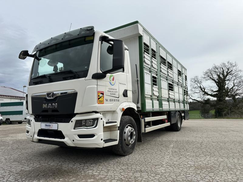 MAN M 90 15.290 TGM - شاحنة نقل المواشي شاحنة: صور 3 MAN M 90 15.290 TGM - شاحنة نقل المواشي شاحنة: صور 3