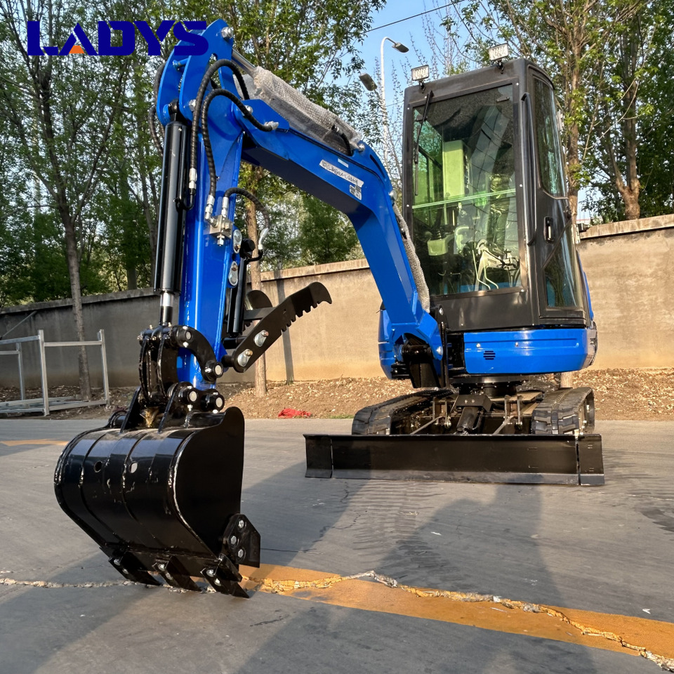 LADYS DY25U Mini Excavator Kubota Euro 5/Epa Engine Mini Excavator For Sale - حفارة مصغرة: صور 3 LADYS DY25U Mini Excavator Kubota Euro 5/Epa Engine Mini Excavator For Sale - حفارة مصغرة: صور 3