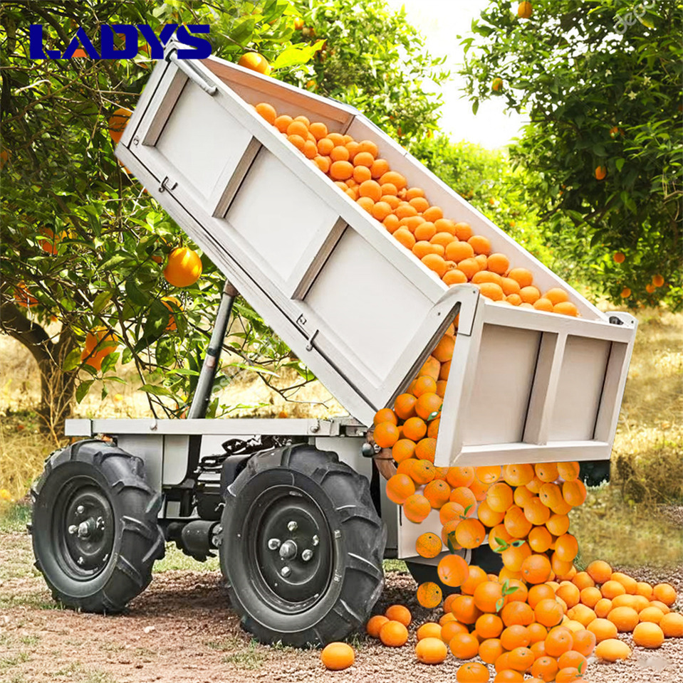 LADYS Electric Remote Control Transporter Agricultural Orchard Farm Electric Utv Dump Trailer Material Handling Equipment All Terrain Transport Vehicle - اتفس: صور 1 LADYS Electric Remote Control Transporter Agricultural Orchard Farm Electric Utv Dump Trailer Material Handling Equipment All Terrain Transport Vehicle - اتفس: صور 1