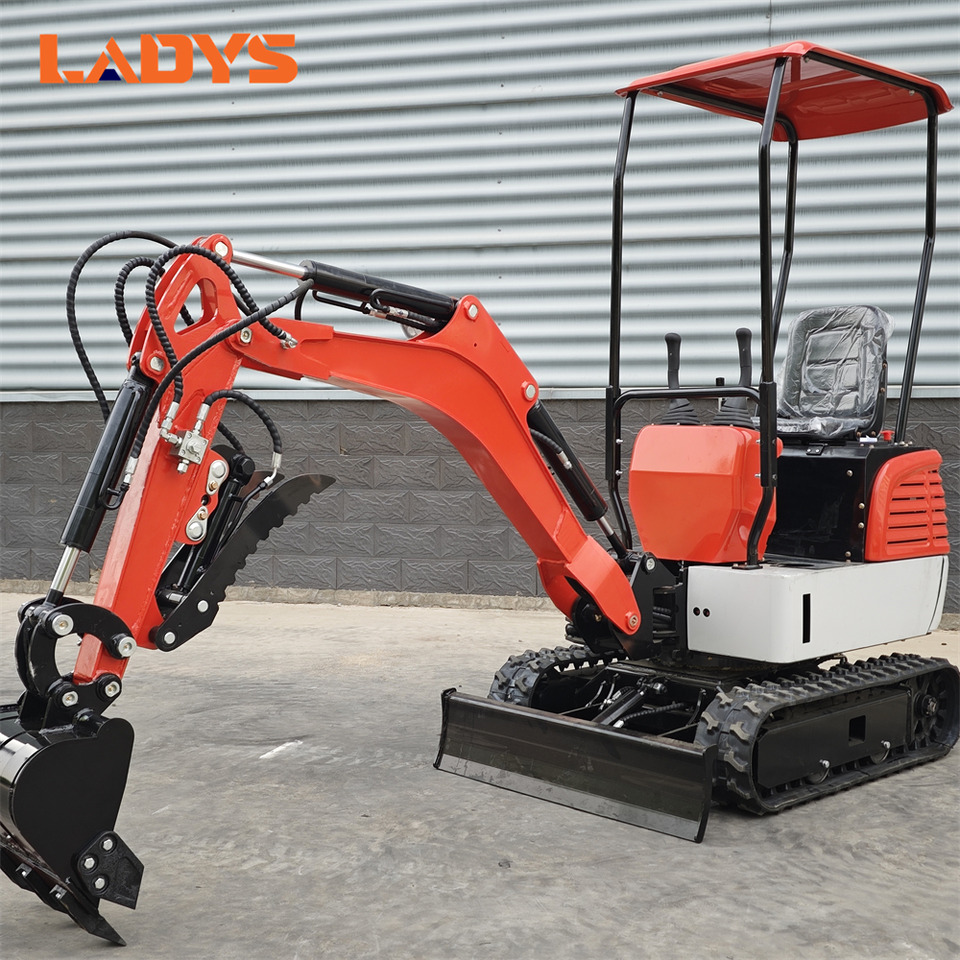 LADYS DY12Pro Mini Excavator Euro 5/Epa Engine Kubota Mini Excavator For Sale - حفارة مصغرة: صور 2 LADYS DY12Pro Mini Excavator Euro 5/Epa Engine Kubota Mini Excavator For Sale - حفارة مصغرة: صور 2