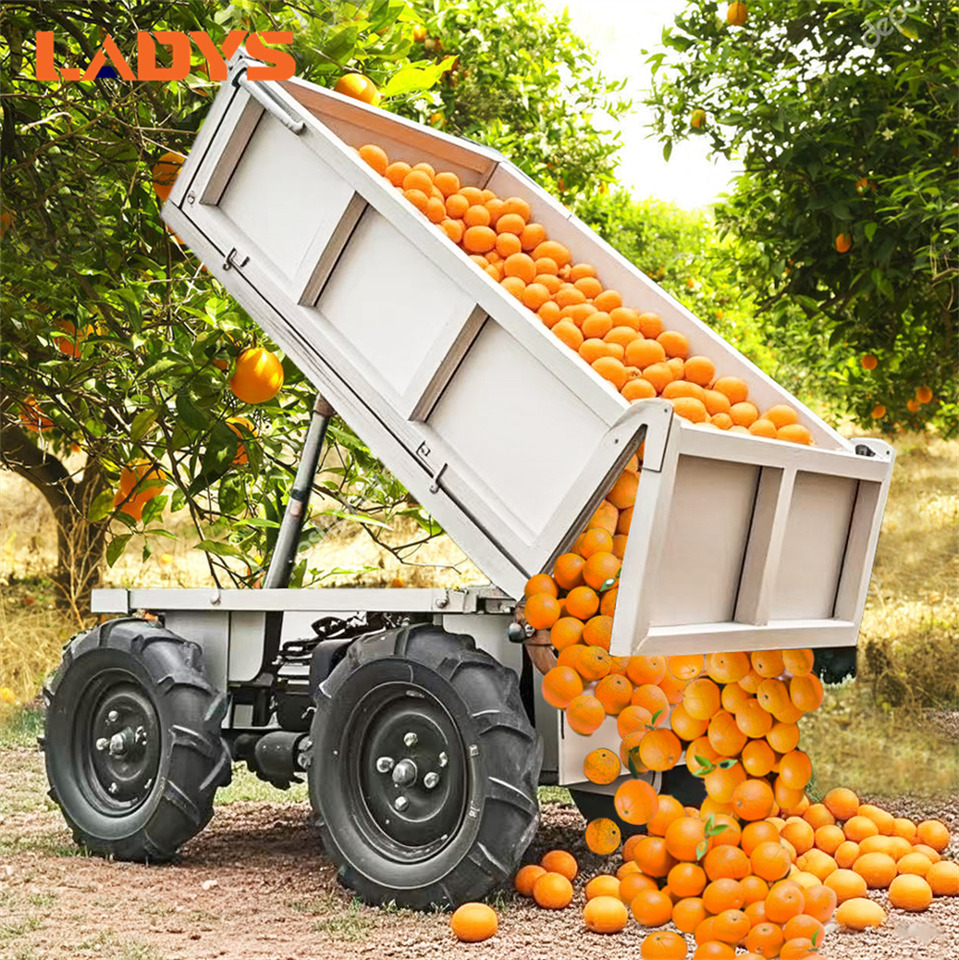 LADYS Electric Remote Control Transporter Agricultural Orchard Farm Electric Utv Material Handling Equipment All Terrain Transport Vehicle - اتفس: صور 2 LADYS Electric Remote Control Transporter Agricultural Orchard Farm Electric Utv Material Handling Equipment All Terrain Transport Vehicle - اتفس: صور 2