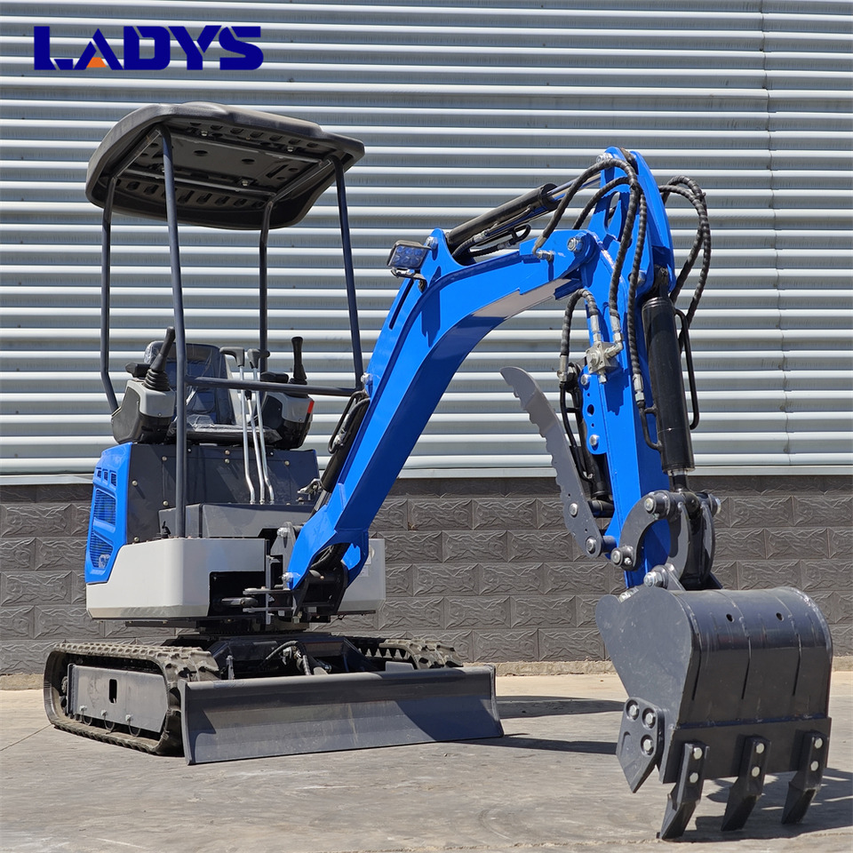 LADYS DY18Mini Excavator Digger Miniexcavadora EPA Kubota Engine Mini Excavator For Sale With Mini Excavator Attachment Set - حفارات زحافة: صور 4 LADYS DY18Mini Excavator Digger Miniexcavadora EPA Kubota Engine Mini Excavator For Sale With Mini Excavator Attachment Set - حفارات زحافة: صور 4