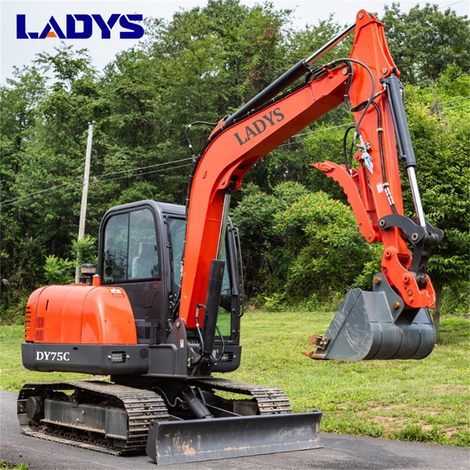 LADYS DY75C Small Excavator Euro 5/Epa Yanmar Engine Small Excavator Crawler Excavator For Sale - حفارات زحافة: صور 4 LADYS DY75C Small Excavator Euro 5/Epa Yanmar Engine Small Excavator Crawler Excavator For Sale - حفارات زحافة: صور 4