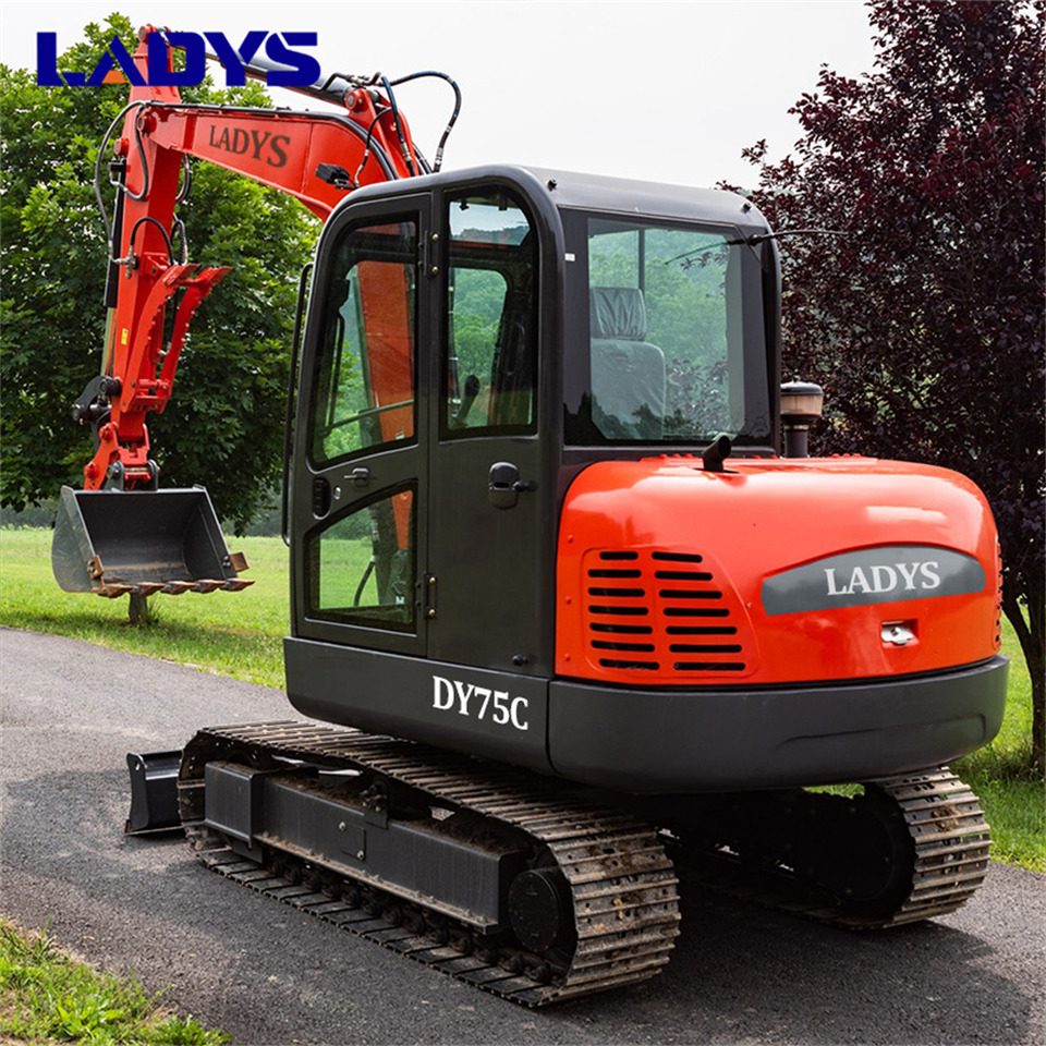 LADYS DY75C Small Excavator Euro 5/Epa Yanmar Engine Small Excavator Crawler Excavator For Sale - حفارات زحافة: صور 5 LADYS DY75C Small Excavator Euro 5/Epa Yanmar Engine Small Excavator Crawler Excavator For Sale - حفارات زحافة: صور 5