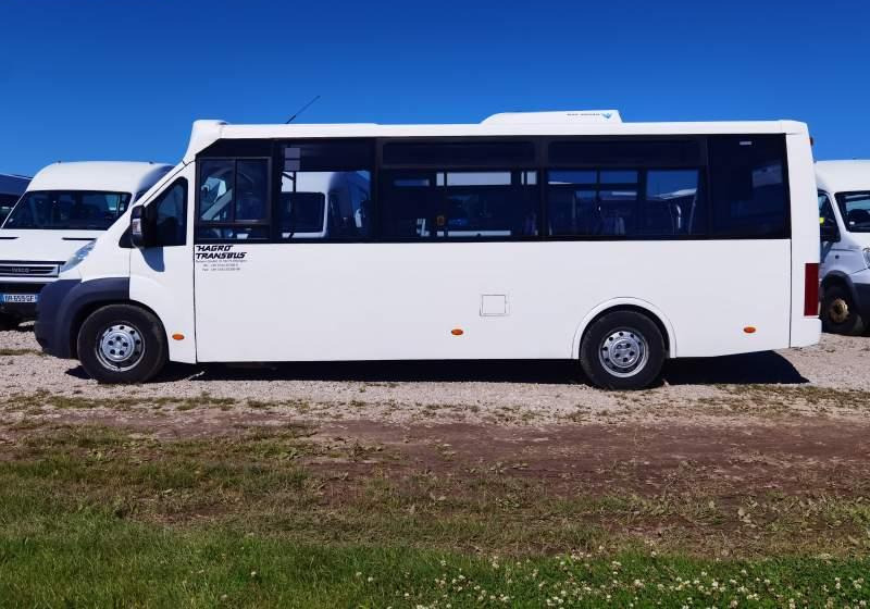 Fiat Ducato miejski, przewóz osób niepełnosprawnych - حافلة صغيرة, ميكروباص: صور 5 Fiat Ducato miejski, przewóz osób niepełnosprawnych - حافلة صغيرة, ميكروباص: صور 5