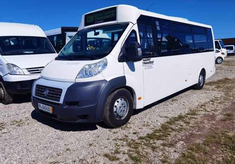Fiat Ducato miejski, przewóz osób niepełnosprawnych - حافلة صغيرة, ميكروباص: صور 1 Fiat Ducato miejski, przewóz osób niepełnosprawnych - حافلة صغيرة, ميكروباص: صور 1