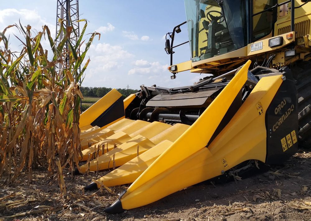 Oros Cornado 6 4+2R Nowa Przystawka do kukurydzy - حصادات الذرة: صور 5 Oros Cornado 6 4+2R Nowa Przystawka do kukurydzy - حصادات الذرة: صور 5