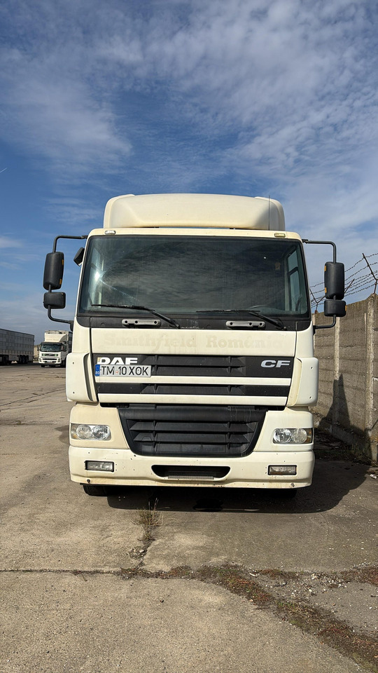 DAF CF 85.43 Tractor Head - شاحنة جرار: صور 3 DAF CF 85.43 Tractor Head - شاحنة جرار: صور 3