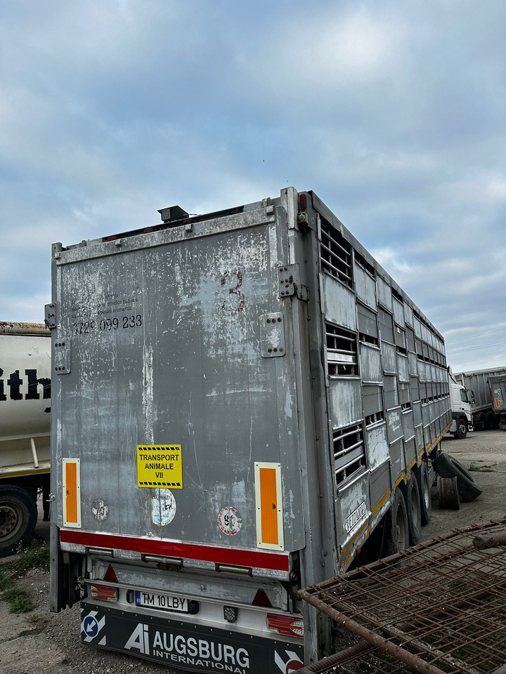 PEZZAIOLLI Animal Transport Semi-trailer - شاحنة نقل المواشي نصف مقطورة: صور 3 PEZZAIOLLI Animal Transport Semi-trailer - شاحنة نقل المواشي نصف مقطورة: صور 3