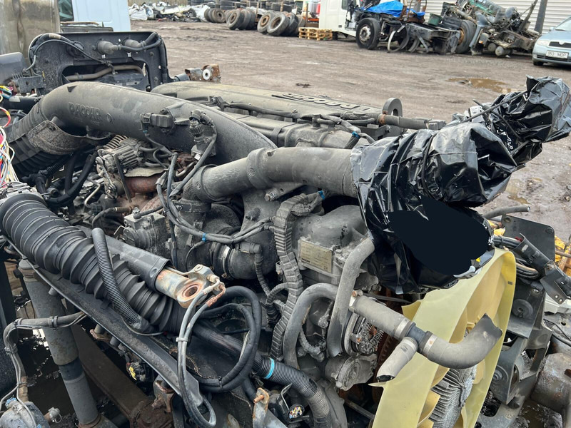 DAF MX13 375 H1 - المحرك: صور 1 DAF MX13 375 H1 - المحرك: صور 1