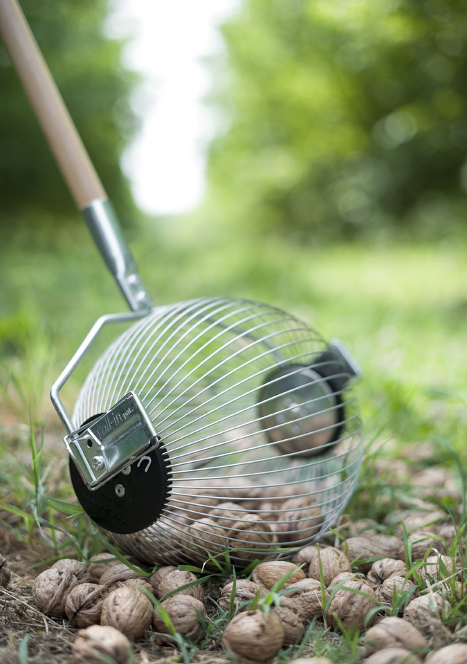 ROLL-IN Roll-in Medium - معدات الحدائق: صور 1 ROLL-IN Roll-in Medium - معدات الحدائق: صور 1