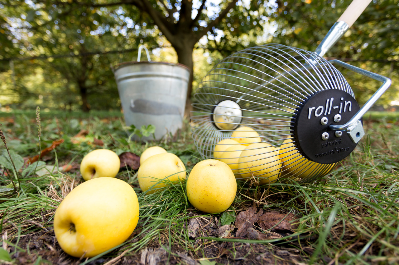 ROLL-IN Roll-in XLARGE - معدات الحدائق: صور 1 ROLL-IN Roll-in XLARGE - معدات الحدائق: صور 1