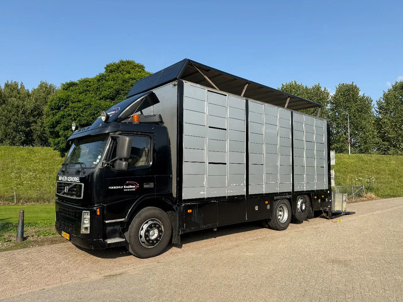 Volvo FM 300 Livestock Cuppers 3 laags 6x2 - شاحنة نقل المواشي شاحنة: صور 1 Volvo FM 300 Livestock Cuppers 3 laags 6x2 - شاحنة نقل المواشي شاحنة: صور 1