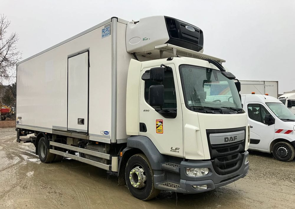 DAF Daf LF 16.250 chłodnia multi temperatura 16 palet - مبردة شاحنة: صور 2 DAF Daf LF 16.250 chłodnia multi temperatura 16 palet - مبردة شاحنة: صور 2