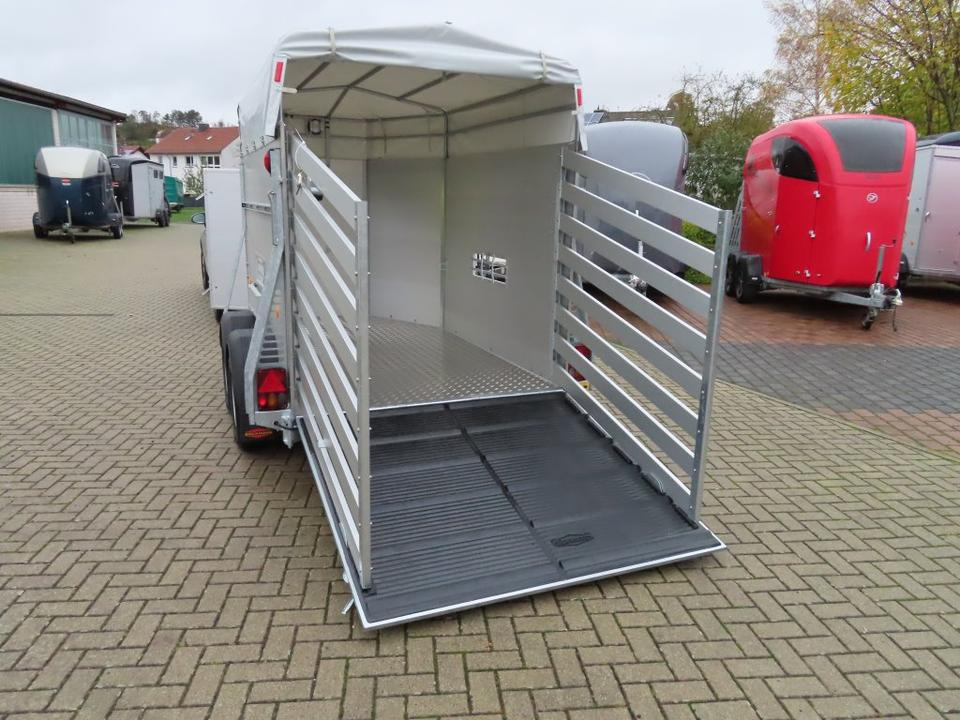 شاحنة نقل المواشي مقطورة Böckmann Viehanhänger, 2,4 to. Tür/Rampekombi, Humbaur, Fendt: صور 18