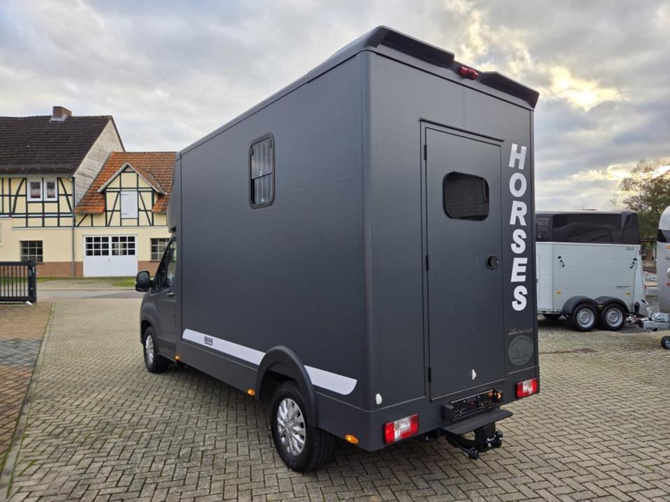 MSG Stablehopper Pferdetransporter Pferdeanhänger Böckmann - شاحنة نقل خيل: صور 4 MSG Stablehopper Pferdetransporter Pferdeanhänger Böckmann - شاحنة نقل خيل: صور 4