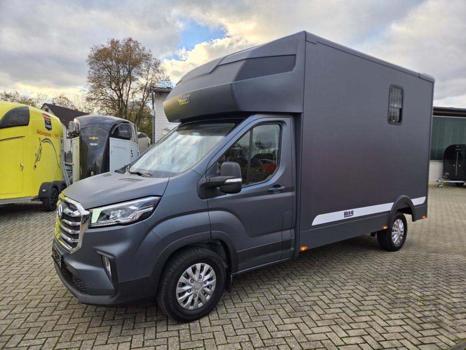 MSG Stablehopper Pferdetransporter Pferdeanhänger Böckmann - شاحنة نقل خيل: صور 1 MSG Stablehopper Pferdetransporter Pferdeanhänger Böckmann - شاحنة نقل خيل: صور 1