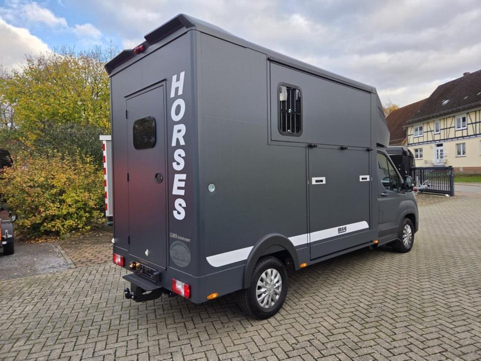 MSG Stablehopper Pferdetransporter Pferdeanhänger Böckmann - شاحنة نقل خيل: صور 3 MSG Stablehopper Pferdetransporter Pferdeanhänger Böckmann - شاحنة نقل خيل: صور 3