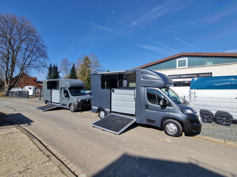 MSG Stablehopper Pferdetransporter Pferdeanhänger Böckmann - شاحنة نقل خيل: صور 1 MSG Stablehopper Pferdetransporter Pferdeanhänger Böckmann - شاحنة نقل خيل: صور 1