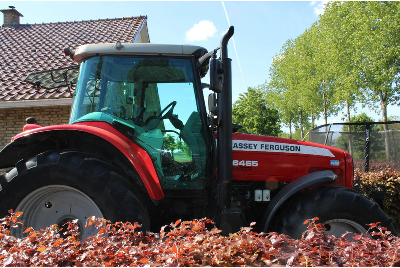 Massey Ferguson 6465 dyna 6 - جرار: صور 2 Massey Ferguson 6465 dyna 6 - جرار: صور 2